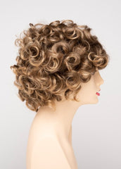 FROSTED | Light Brown with Wheat Blonde blended highlights