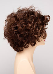 CINNAMON RAISIN | Medium Brown with Auburn and Cinnamon highlights