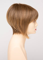 FROSTED | Light Brown with Wheat Blonde blended highlights