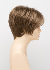 MOCHA FROST | Light Brown blended with Golden Blonde