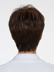 Destiny | Human Hair/ Synthetic Blend Wig (Mono Top)