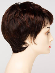 CHOCOLATE CHERRY | Dark Brown roots with overall Medium Brown base with Deep Red highlights