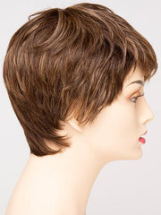 FROSTED | Light Brown with Wheat Blonde blended highlights