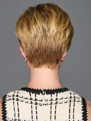 Graceful Touch | Synthetic Wig (Basic Cap)