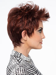 Raven | Synthetic Lace Front Wig (Basic Cap)