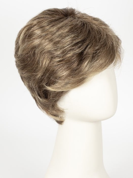 Color Dark-Sand-Rooted = Light Brown base with Lightest Ash Brown and Medium Honey Blonde blend