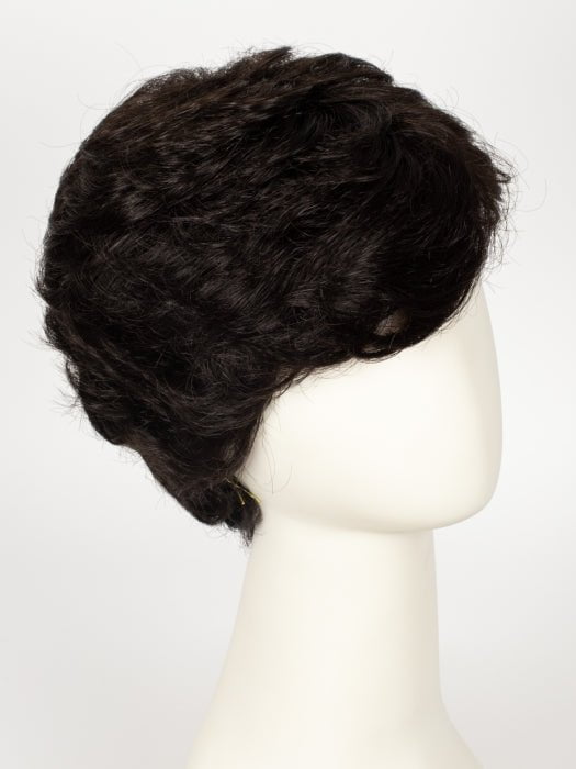 34 NIGHTFALL | Dark Brown with 5% Pure White