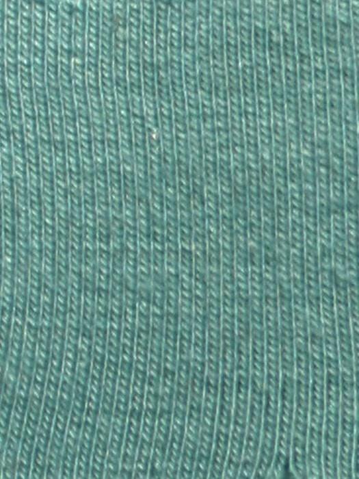 TES-BLUE-SAGE 
