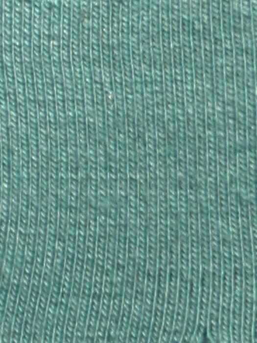 BLUE-SAGE 