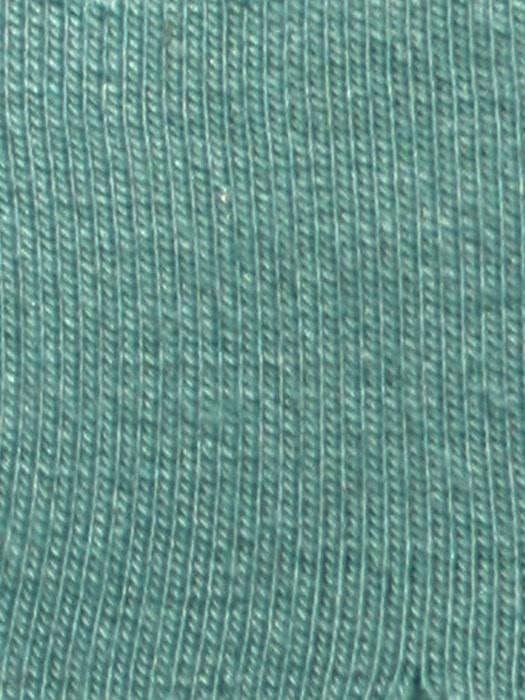 TSS-BLUE-SAGE 